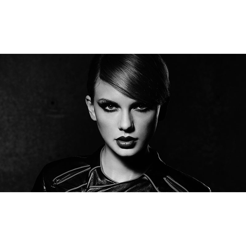 Πίνακας σε καμβά Taylor Swift 2 